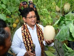 Wamentrans Dorong Pemasaran Produk Dan Menengah Kawasan Transmigrasi Hingga Bali