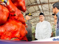 Mentan Sita 133,5 Ton Bawang Bombai Produk Impor Ilegal Di Semarang