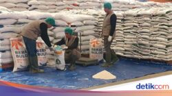 Bulog Serap Gabah dan Beras Petani Aceh hingga Papua Dari Awal Tahun