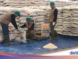 Bulog Serap Gabah dan Beras Petani Aceh hingga Papua Dari Awal Tahun