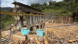 Peran Ganda PLTA Sipansihaporas Layaknya Benteng Alami Pada Genangan Air Kayu Hingga Sumatera