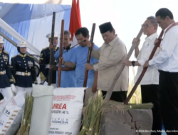 Bukan Sulap! Begini Jatuh Bangun RI Terbukti Bisa Swasembada Beras