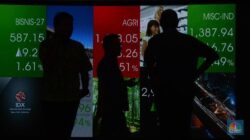 Direktur Pemasaran Emiten Udang Kaesang (PMMP) Mengundurkan Diri