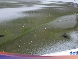 Trend Populer Aneh Es Hingga Danau Berubah Karena Itu Hijau