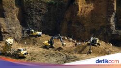 Perminas dan New Energy Metals Teken MoU, Perkuat Integrasi Rare Earth