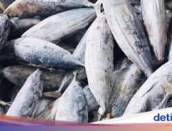 57 Unit Pengolahan Ikan RI Kantongi Izin Perdagangan Keluar Negeri Hingga Turki dan China