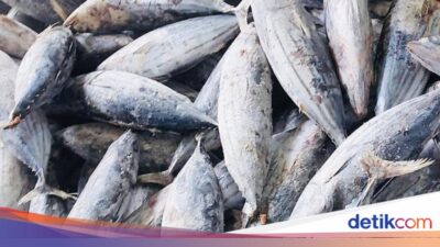 57 Unit Pengolahan Ikan RI Kantongi Izin Perdagangan Keluar Negeri Hingga Turki dan China