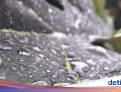 Canggih! Ilmu Pengetahuan Mutakhir Bisa Ubah Hujan Di Sebab Itu Sumber Listrik