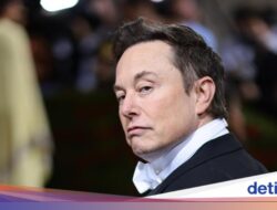 Jauh Didalam Bayangan, Cuma 35 Meter Persegi