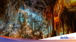 Gua Tertua Hingga Bumi Sudah Ada Sebelumnya Dinosaurus