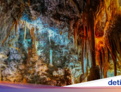 Gua Tertua Hingga Bumi Sudah Ada Sebelumnya Dinosaurus