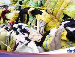 Busana Bekas Cacahan Asal AS Bakal Masuk RI, Kementerian Pelaku Ekonomi Kecil Buka Suara