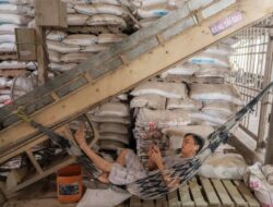 Dampak Pertempuran Iran, Harga Beras Asia Cetak Catatan Tertinggi Untuk Dua Tahun