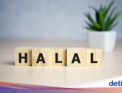 Industri Halal Di RI Terus Berkembang & Kasih Kemungkinan Besar buat Investor