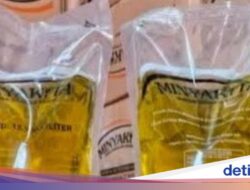 Pemerintah Klaim DMO 35% Ampuh Jaga Harga Energi Goreng