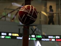 Laba Emiten Sawit Haji Isam (PGUN) Meroket 101,19%