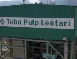 Izin Konsesi Dicabut, Toba Pulp Lestari (INRU) Umumkan Pemutusan Hubungan Kerja Massal