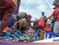 KKP Perketat Pengawasan Produk Perikanan Biar Bebas Radioktif