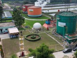Kembaran Hijau Barang Dagangan Energi Siap Karena Itu Pengganti LPG
