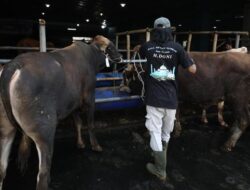 Mau Kurban Tapi Susah Nabung? Pakai Asuransi Bisa Lho!