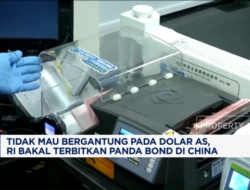 Kurangi Candu Matauang Asing AS, RI Terbitkan Panda Bond Ke China
