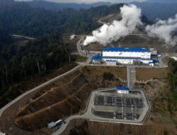 Pendapatan Tembus US$116,55 Juta , Laba PGE Naik 40% Ke Kuartal I-2026