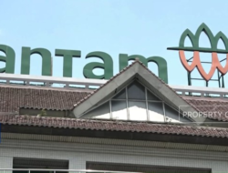 Antam Siap Terlibat Ke Proyek Hilirisasi Nikel & Kendaraan Pribadi Bertenaga Listrik