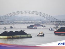 Tata Kelola Produk Ekspor Batu Bara-CPO Lewat DSI Dinilai Perkuat Ekonomi RI