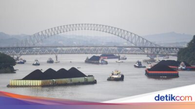 Tata Kelola Produk Ekspor Batu Bara-CPO Lewat DSI Dinilai Perkuat Ekonomi RI