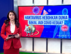 Ada Hantavirus, Hati-Hati Dompetmu Bisa Ikut Terinfeksi Lho!