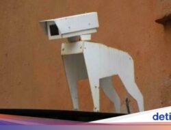 Kok Kepikiran, Ya? Ini 15 Desain Menakjubkan yang Bikin Mata Terpana