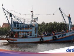 Trend Populer Upwelling 2026 Mulai Terbentuk, Tanda Kuat Musim Tangkap Ikan Nelayan