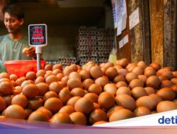 Harga Daging & Telur Ayam Naik, Cabai Rawit Turun