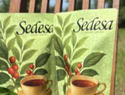 Kemandirian Ekonomi Desa Toyomarto Melewati Teh Daun Minuman Kafein Sedesa