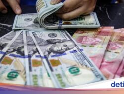 RI Gelar Karpet Merah buat Investor Foreign Lewat PFII