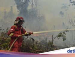 Banyak Penerbangan Dibatalkan Imbas Karhutla Kalimantan