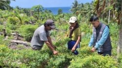 Kehadiran Mantri BRI Menggerakkan Denyut Nadi Perekonomian Hingga Talaud