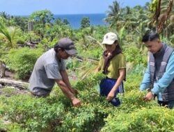 Kehadiran Mantri BRI Menggerakkan Denyut Nadi Perekonomian Hingga Talaud