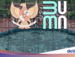 Dividen Naik Terus Tanpa PMN