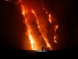 Warga Bakar Arang, 125 Ha Hutan Cemara Gunung Bromo Hangus Terbakar