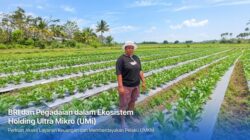 Holding Ultra Mikro Bawa Mur Dwi Astuti Sukses Bersama Sebab Itu Petani Hingga Merauke