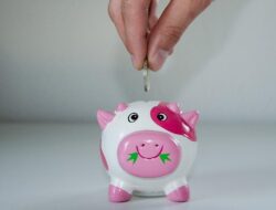 Pengertian, Jenis, Syarat, Biaya, dan Tips Memilih