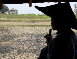 Petani RI Temukan Emas 16 Kg Ke Sawah