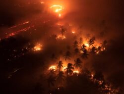 Pemerintah Hukum Mati Perusak Hutan, Penjaga Alam Bisa Bebas Ppn