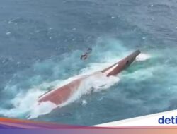 Sistem Keselamatan Pelayaran Mesti Dievaluasi Total Usai Tragedi Kapal Virgo