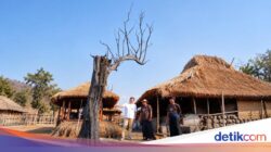 BSI Ajak Komunitas Bantu Pulihkan Desa Wisata Sade Di Lombok
