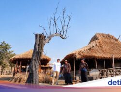 BSI Ajak Komunitas Bantu Pulihkan Desa Wisata Sade Di Lombok