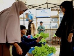 Hijau Segar Penampakan Sayuran Hidroponik, Lahan Sempit Tak Soal