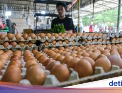 Stok Melimpah, tapi Harga Naik