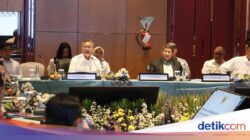 RI Bidik Kemungkinan Penanaman Modal Lewat Penguatan Pasar Karbon Ke COP31